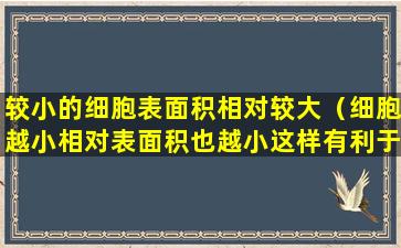 较小的细胞表面积相对较大（细胞越小相对表面积也越小这样有利于提高物质交换效 🦆 率）